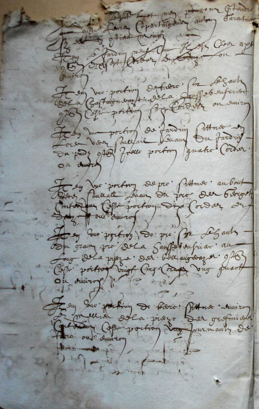 Cohon-G_1615 (6).JPG